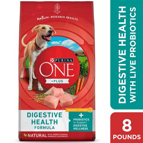 Top-rated dog food for optimal and easy digestion